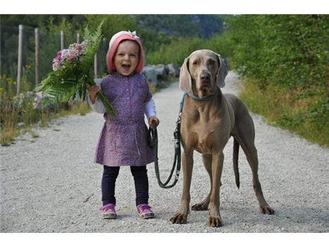 Fotografie (Víťazi 2. kola na tému Dieťa a živé zviera)